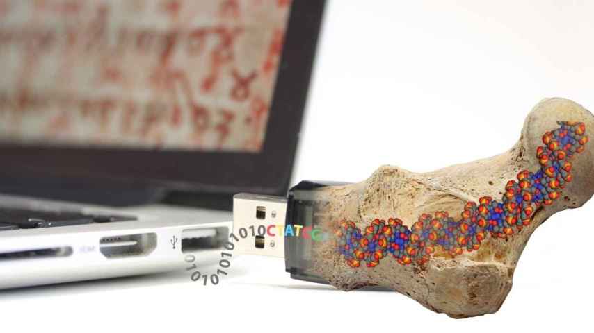 Los investigadores se inspiran en los fósiles a la hora de almacenar datos.