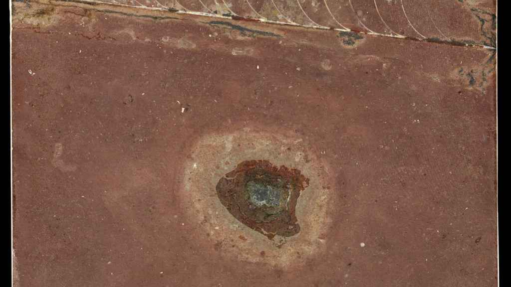 Restos de meteorito encontrados en una roca de 466 millones de años de antigüedad junto a un fósil de una especie de calamar (nautiloide) / John Weinstein,Field Museum